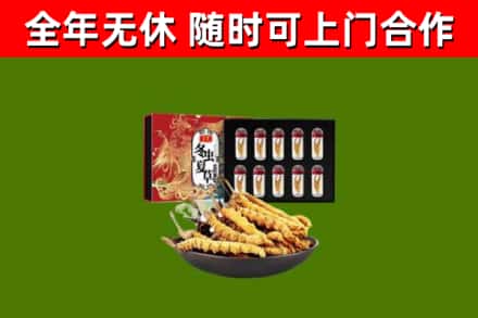 巍山回收冬虫夏草价格